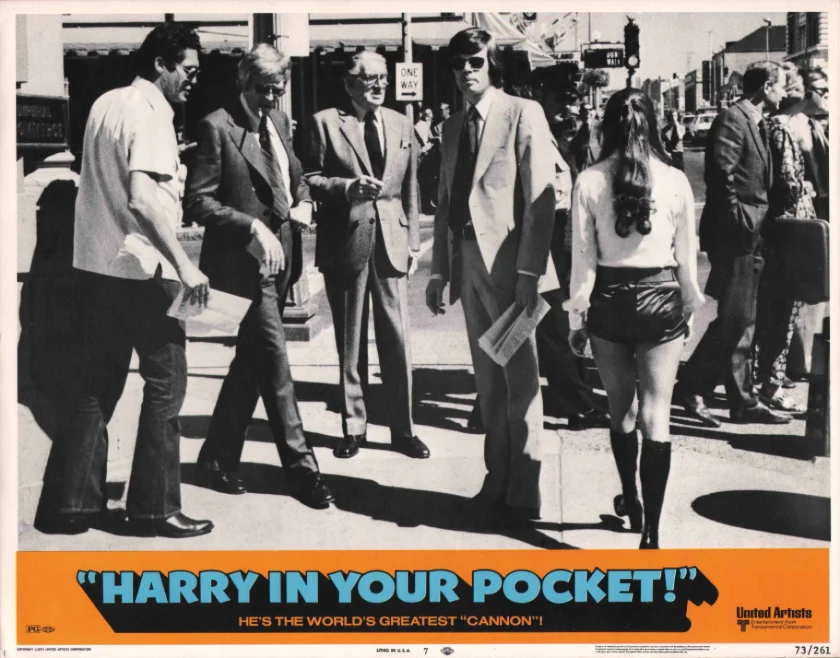 Harry in Your Pocket