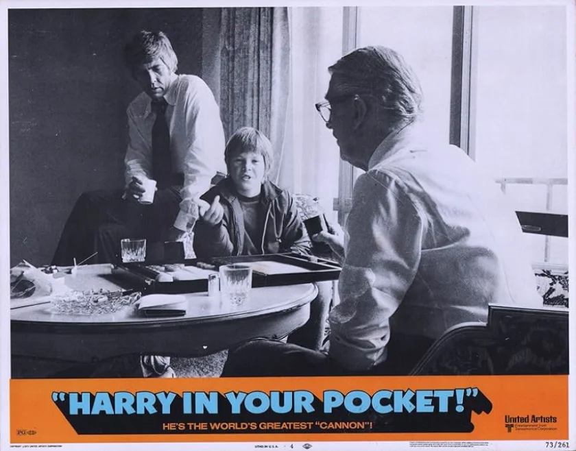 Harry in Your Pocket