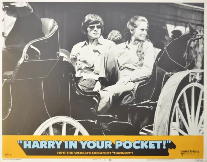 Harry in Your Pocket
