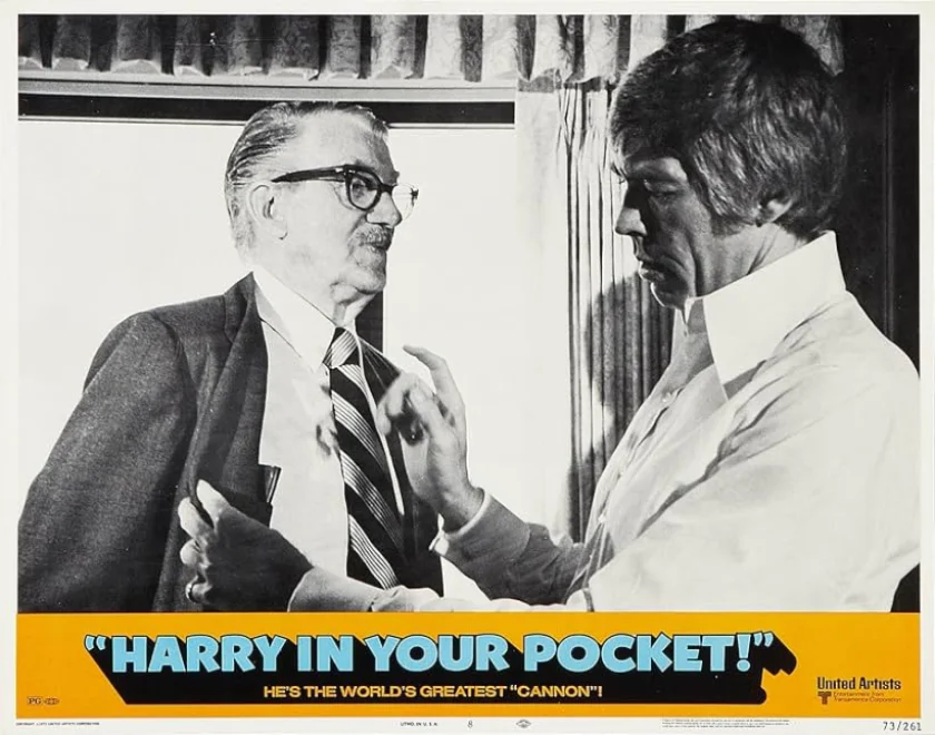 Harry in Your Pocket
