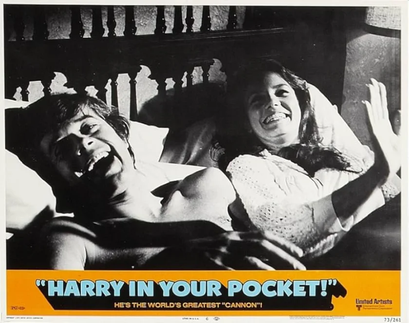 Harry in Your Pocket
