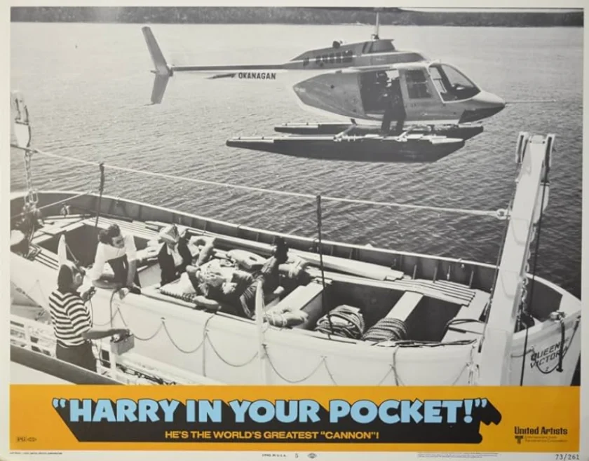 Harry in Your Pocket