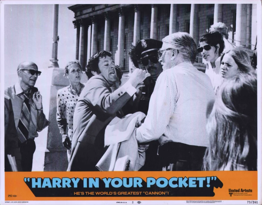 Harry in Your Pocket