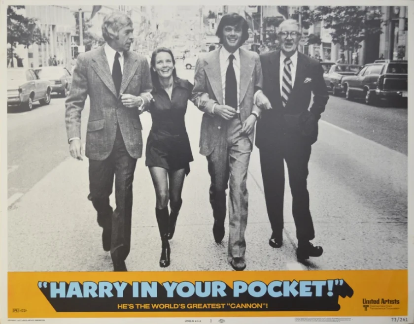 Harry in Your Pocket