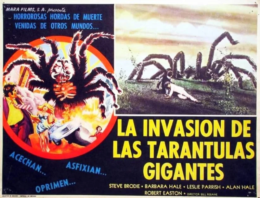 The Giant Spider Invasion