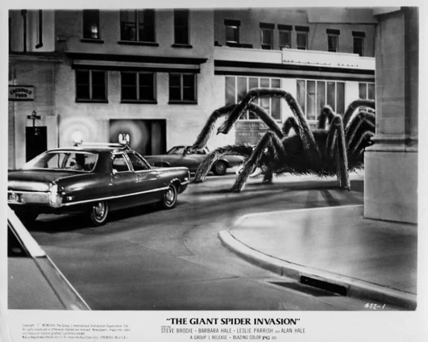 The Giant Spider Invasion