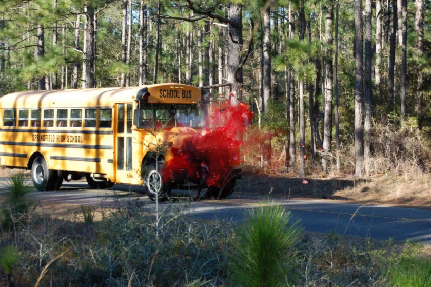 Cabin Fever 2: Spring Fever