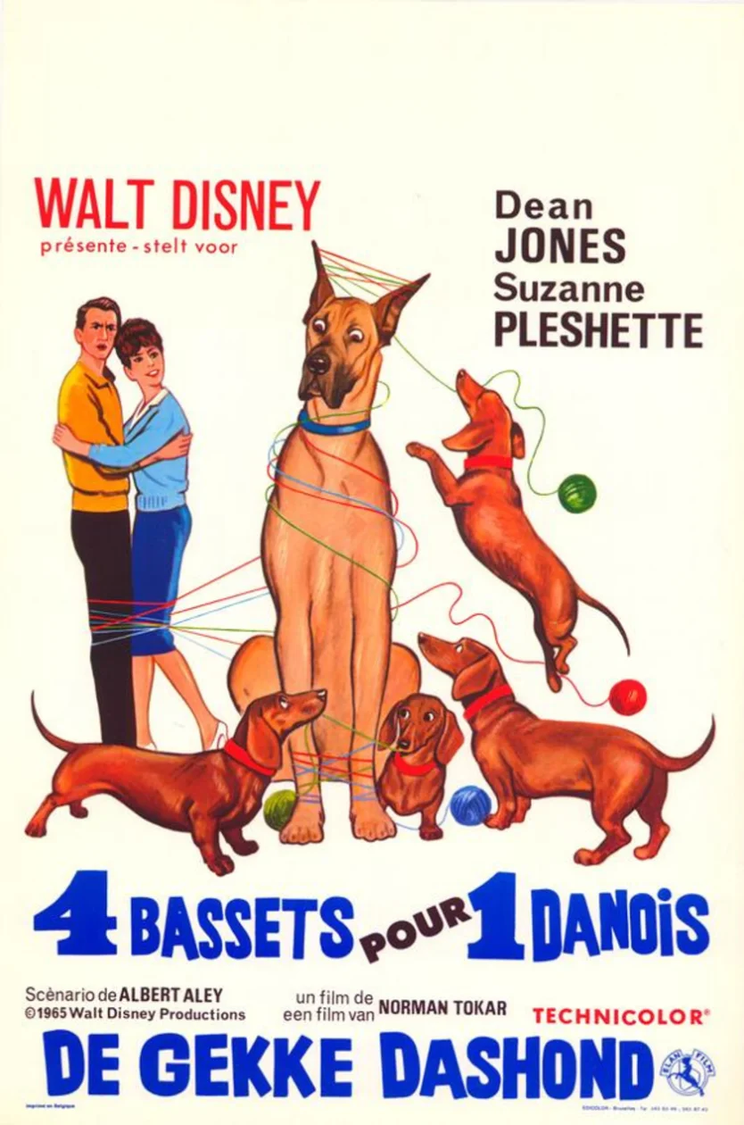 The Ugly Dachshund