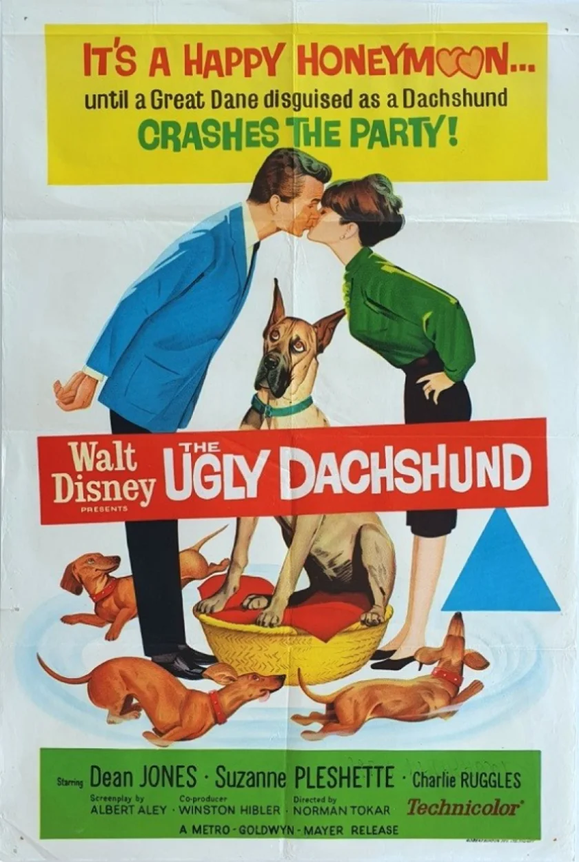 The Ugly Dachshund