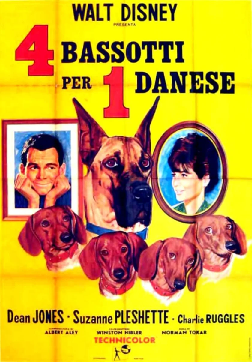 The Ugly Dachshund