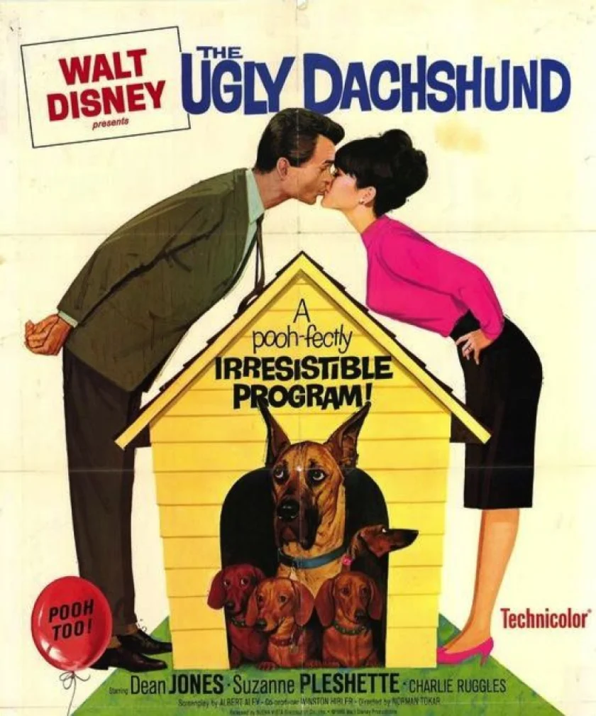 The Ugly Dachshund