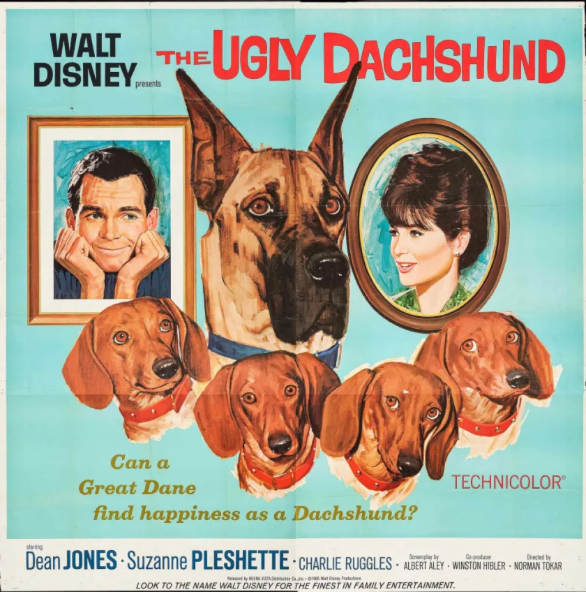 The Ugly Dachshund