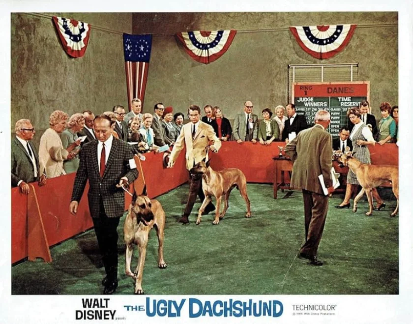 The Ugly Dachshund