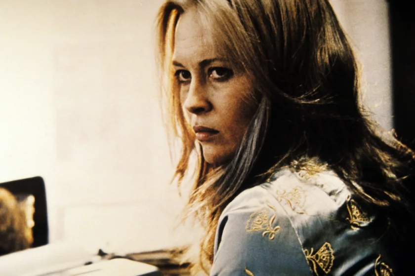 Puzzle of a Downfall Child