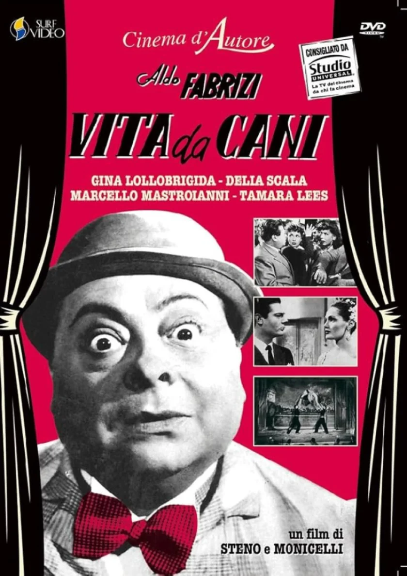 Vita da cani