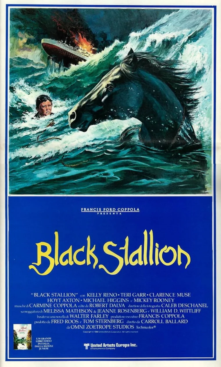 The Black Stallion