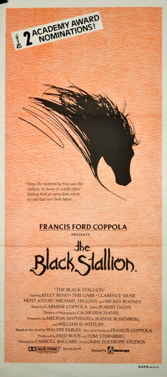 The Black Stallion