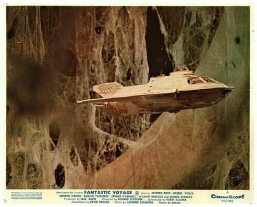 Fantastic Voyage