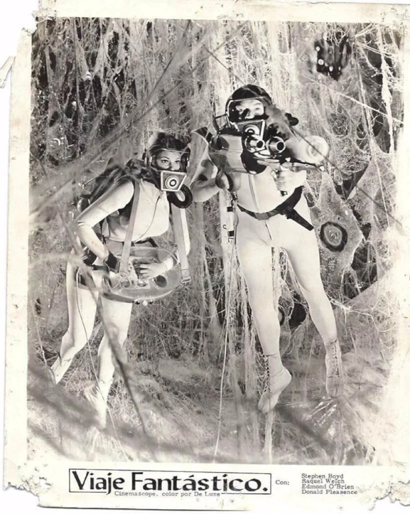 Fantastic Voyage