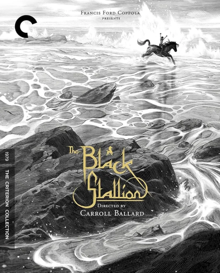 The Black Stallion