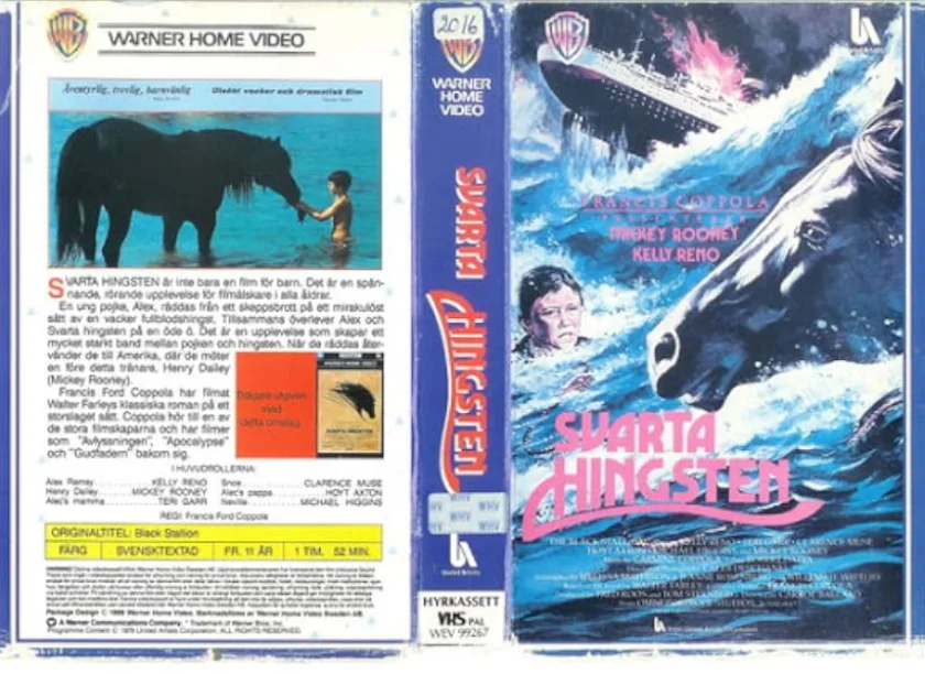The Black Stallion