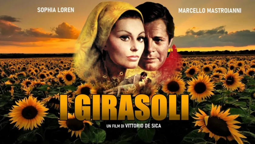 I girasoli