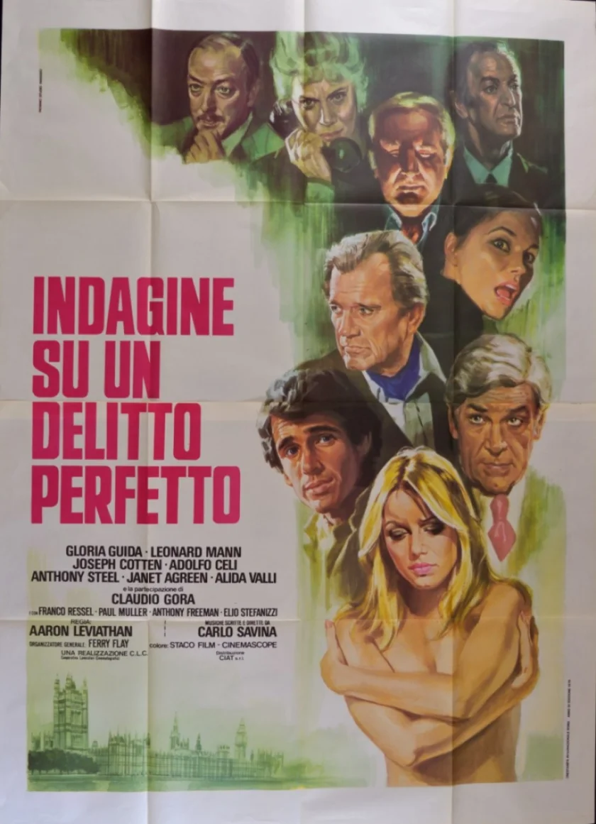 Indagine su un delitto perfetto