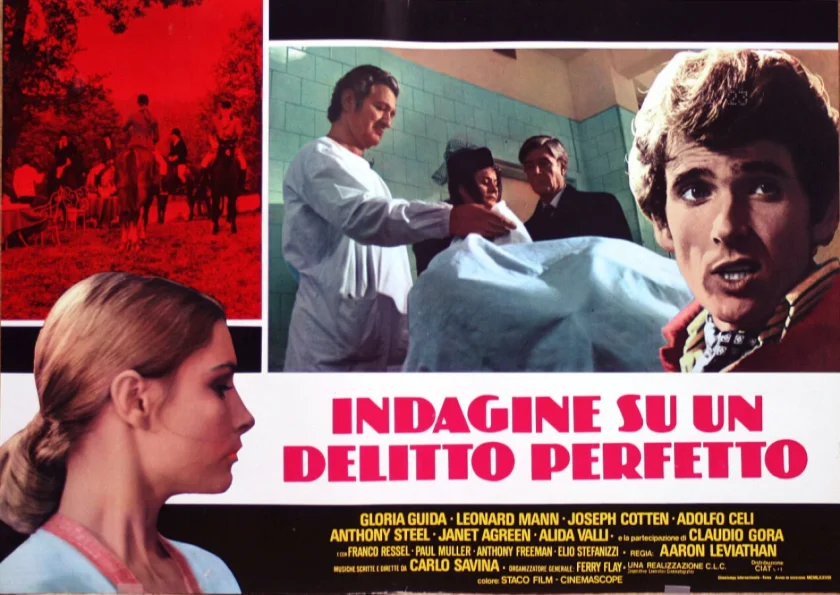 Indagine su un delitto perfetto
