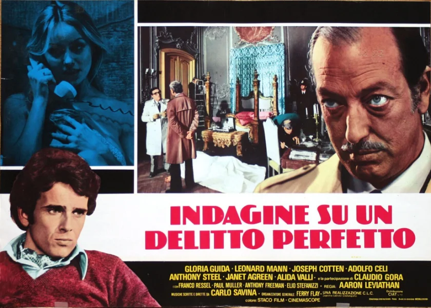 Indagine su un delitto perfetto