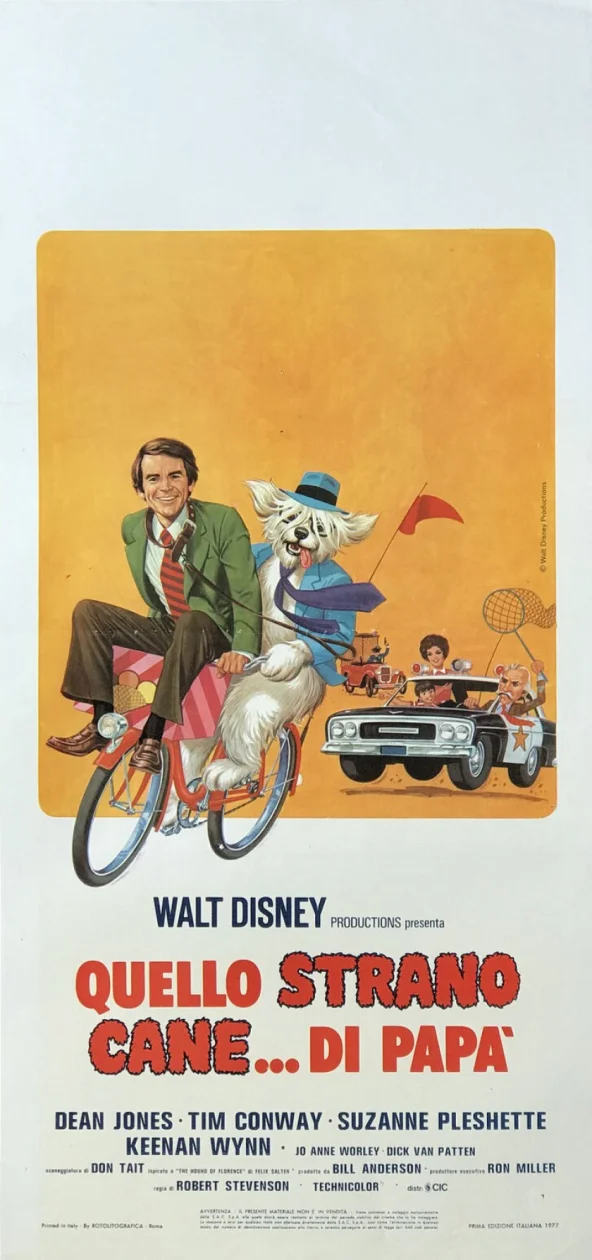 The Shaggy D.A.