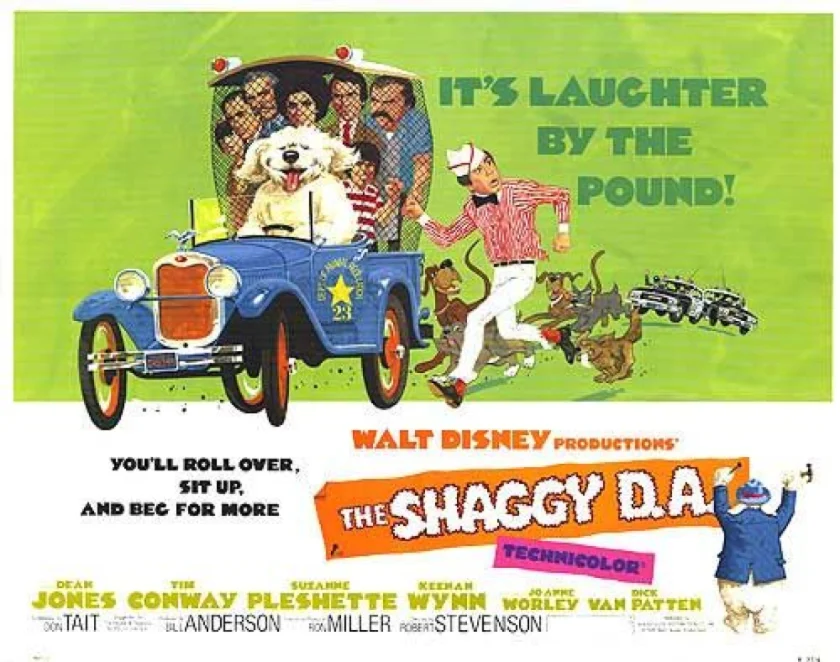 The Shaggy D.A.