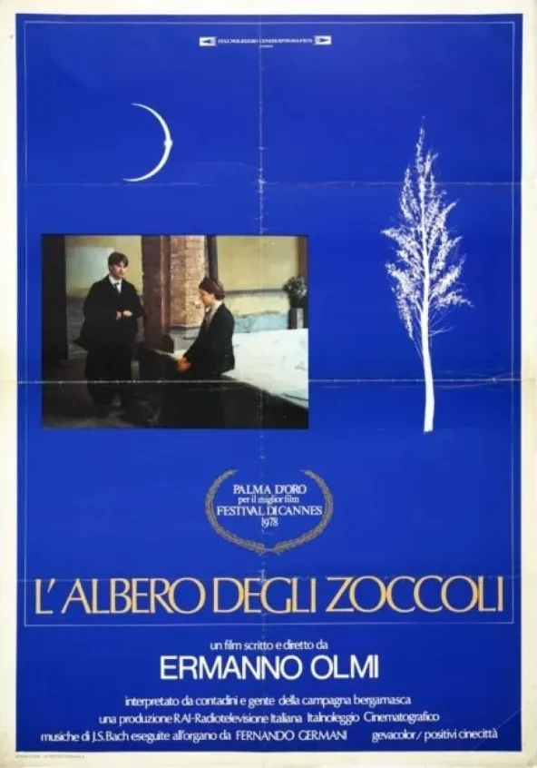 L'albero degli zoccoli