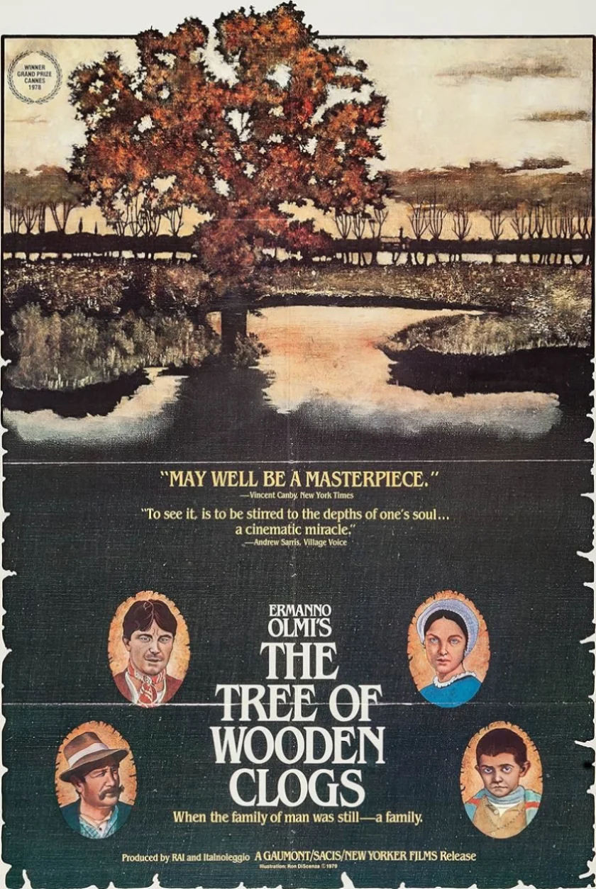 L'albero degli zoccoli