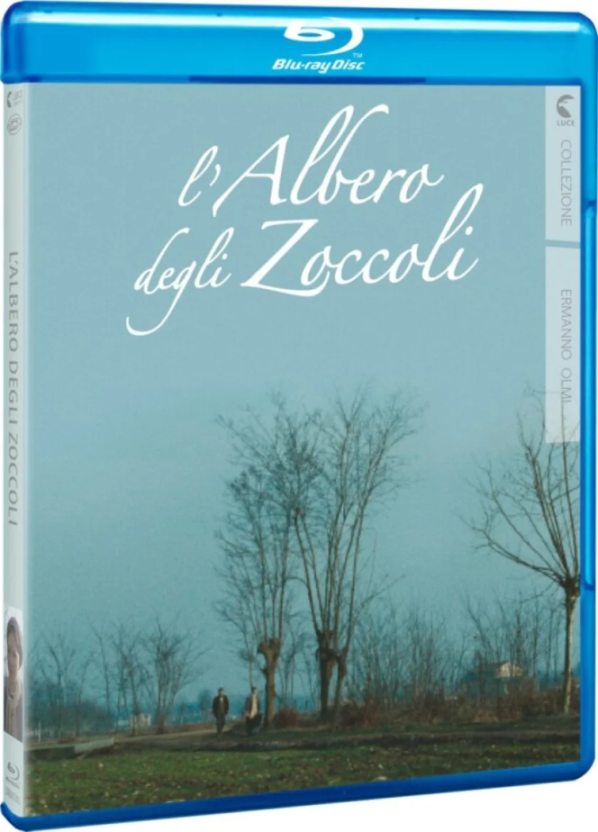 L'albero degli zoccoli