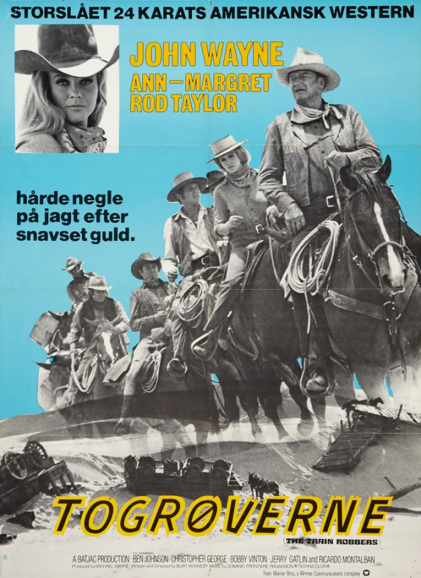 The Train Robbers