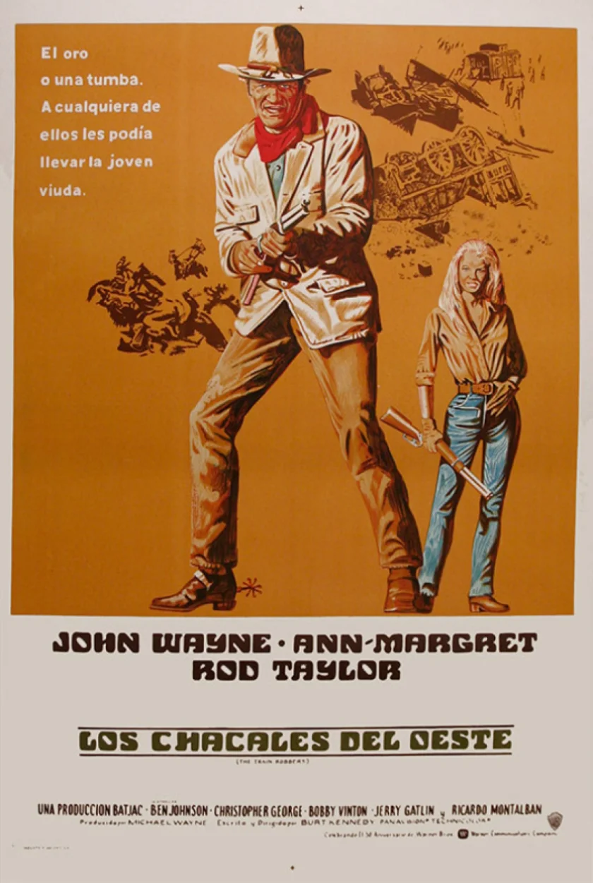 The Train Robbers