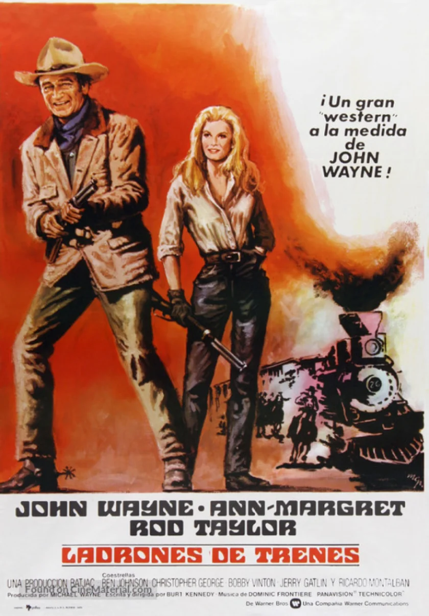 The Train Robbers