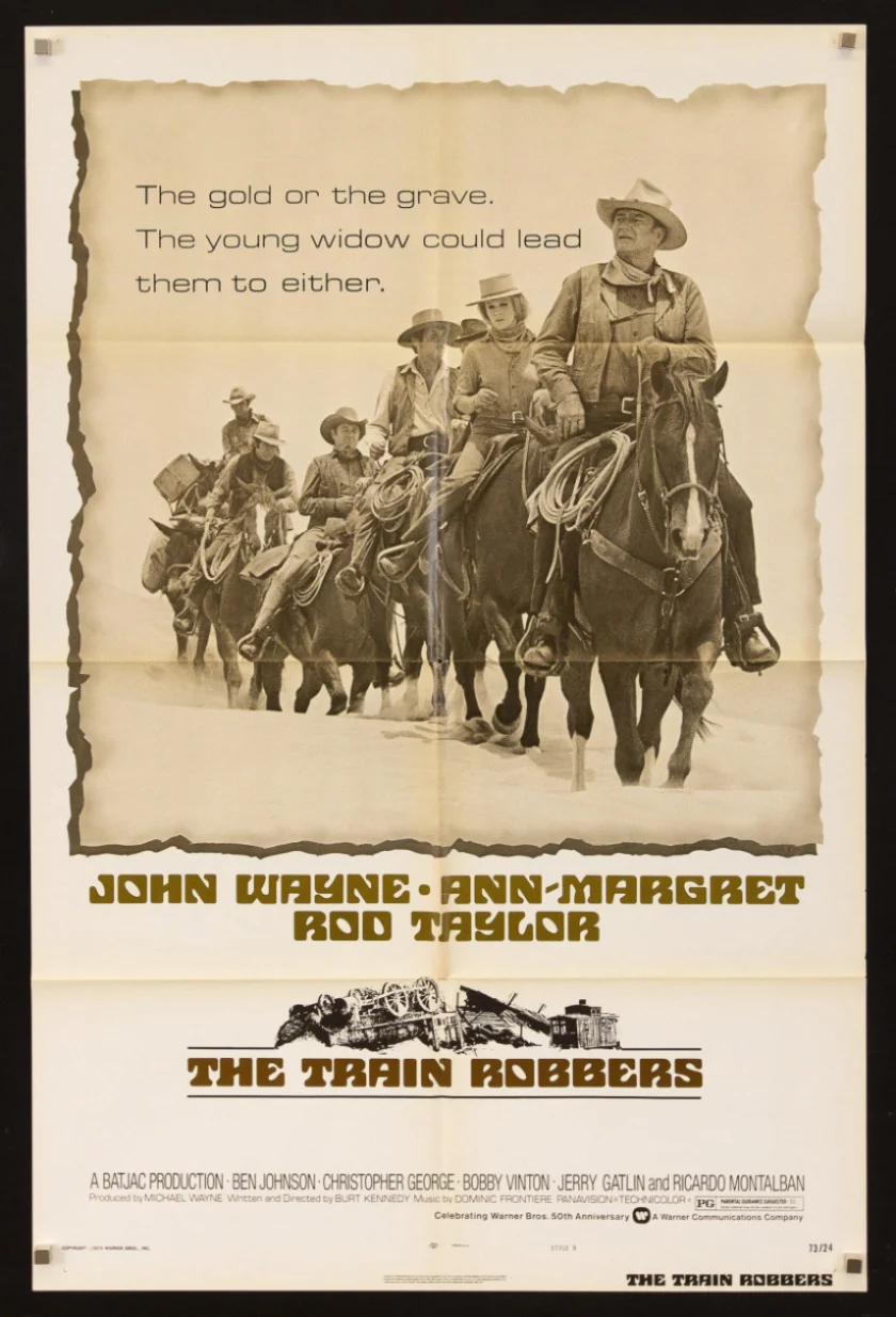 The Train Robbers