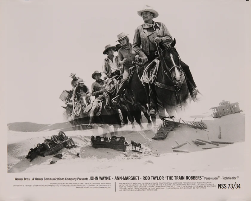 The Train Robbers