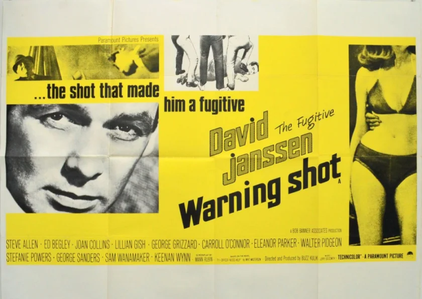 Warning Shot