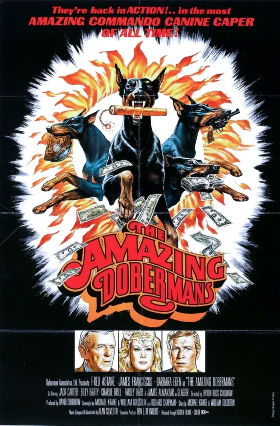The Amazing Dobermans