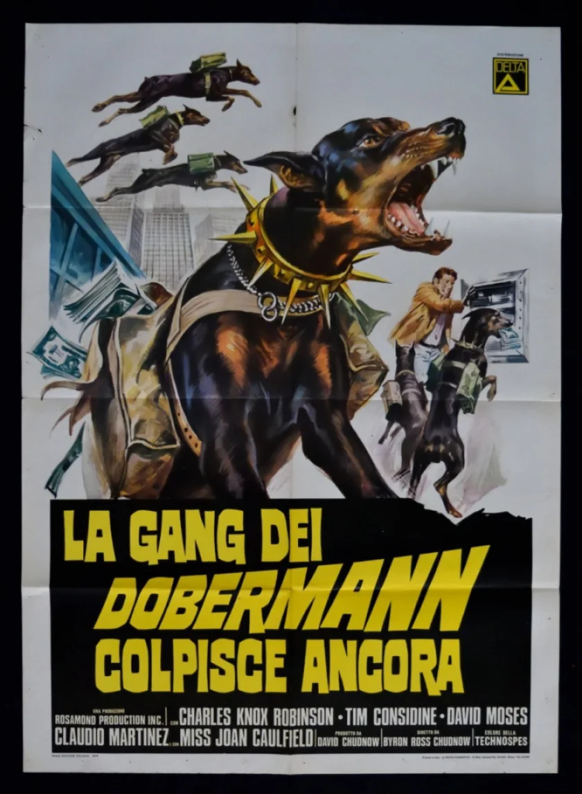 The Daring Dobermans