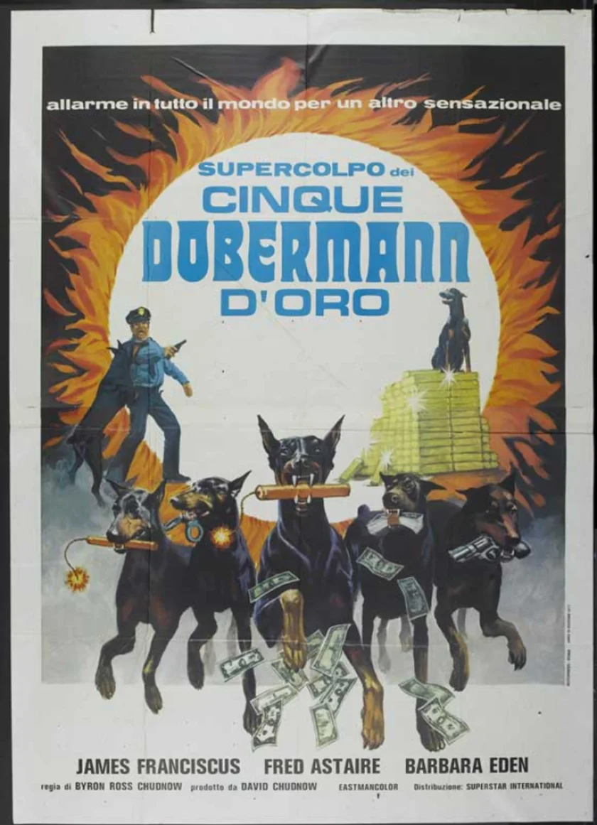 The Amazing Dobermans