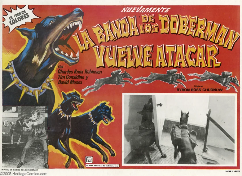 The Daring Dobermans